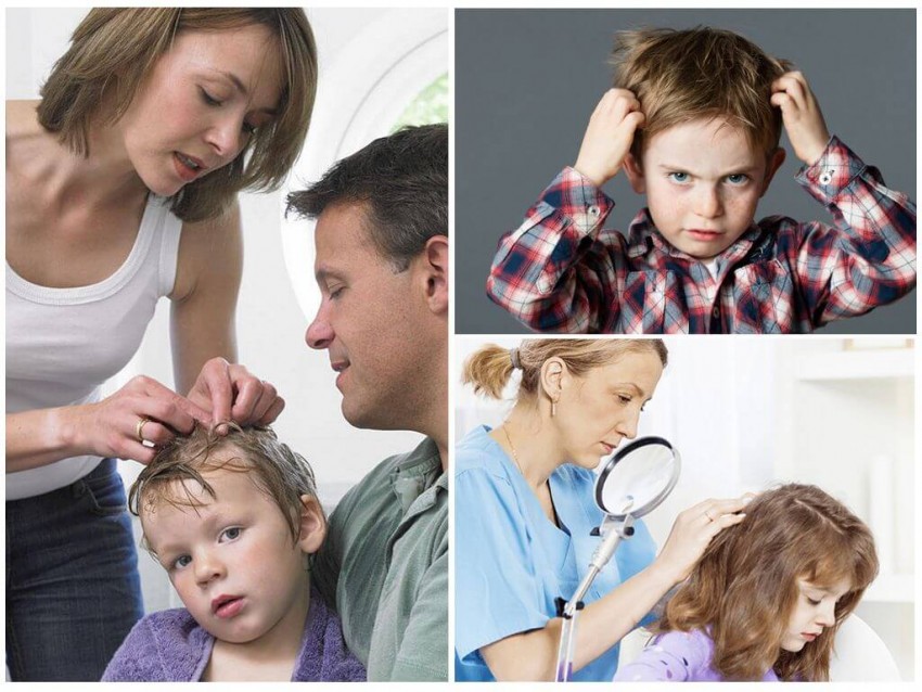 Родинка на голове - что они означают, опасность возникновения, симптомы и лечение (105 фото)